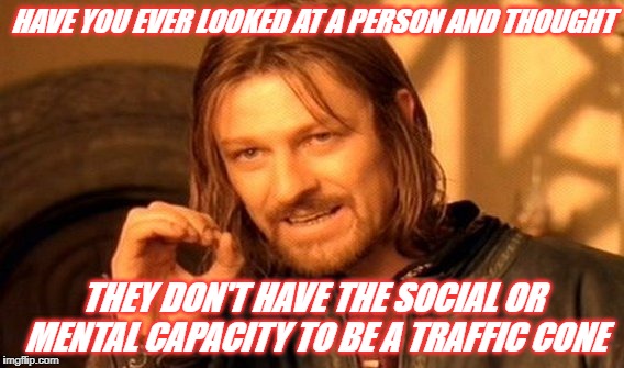He doesn't have the social or mental capacity
 | HAVE YOU EVER LOOKED AT A PERSON AND THOUGHT; THEY DON'T HAVE THE SOCIAL OR MENTAL CAPACITY TO BE A TRAFFIC CONE | image tagged in memes,one does not simply,idiots,justin trudeau,morons,world leaders | made w/ Imgflip meme maker