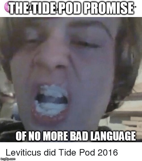 tide  pod  BLEW UP!   | THE TIDE POD PROMISE; OF NO MORE BAD LANGUAGE | image tagged in tide pods,bad,sign language | made w/ Imgflip meme maker