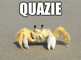 quazie | QUAZIE | image tagged in quazie | made w/ Imgflip meme maker
