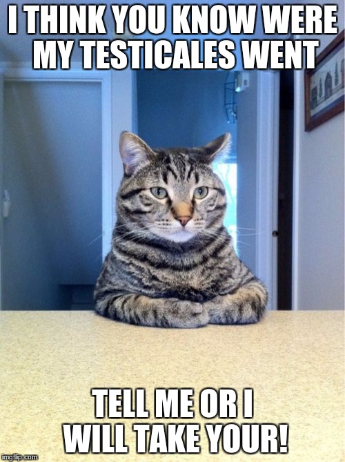 Take A Seat Cat Meme | I THINK YOU KNOW WERE MY TESTICALES WENT; TELL ME OR I WILL TAKE YOUR! | image tagged in memes,take a seat cat | made w/ Imgflip meme maker