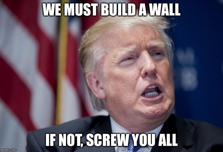 Donald Trump Derp | WE MUST BUILD A WALL; IF NOT, SCREW YOU ALL | image tagged in donald trump derp | made w/ Imgflip meme maker