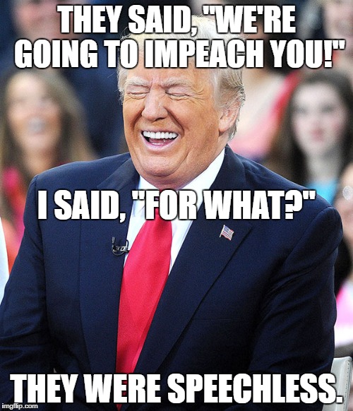 For What Shall You Impeach? I Don't Think "For Wanting to Build a Wall" Will Work. | THEY SAID, "WE'RE GOING TO IMPEACH YOU!"; I SAID, "FOR WHAT?"; THEY WERE SPEECHLESS. | image tagged in trump laughing at liberals,liberals,stupid liberals,special kind of stupid,donald trump | made w/ Imgflip meme maker
