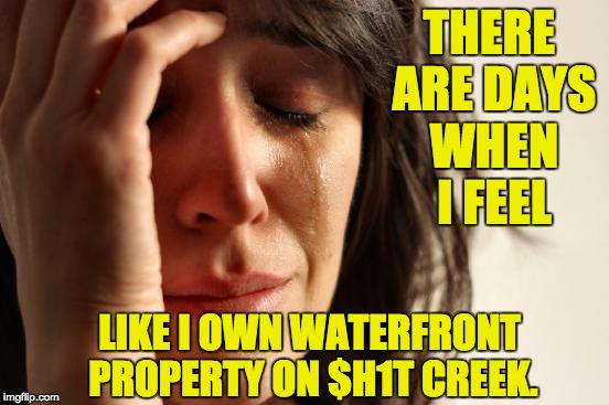 First World Problems | THERE ARE DAYS WHEN I FEEL; LIKE I OWN WATERFRONT PROPERTY ON $H1T CREEK. | image tagged in memes,first world problems | made w/ Imgflip meme maker