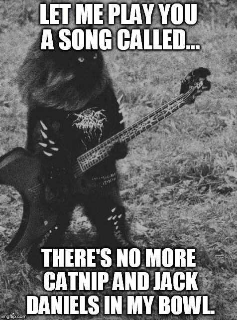 black metal cat | LET ME PLAY YOU A SONG CALLED... THERE'S NO MORE CATNIP AND JACK DANIELS IN MY BOWL. | image tagged in black metal cat | made w/ Imgflip meme maker