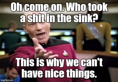 Picard Wtf Meme | Oh come on. Who took a shit in the sink? This is why we can't have nice things. | image tagged in memes,picard wtf | made w/ Imgflip meme maker