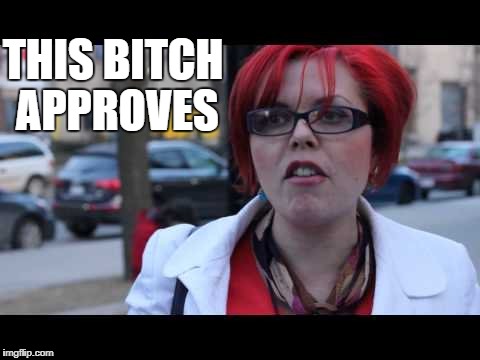 THIS B**CH APPROVES | image tagged in smiling feminist | made w/ Imgflip meme maker