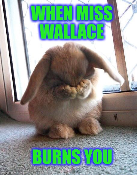 embarrassed bunny | WHEN MISS WALLACE; BURNS YOU | image tagged in embarrassed bunny | made w/ Imgflip meme maker