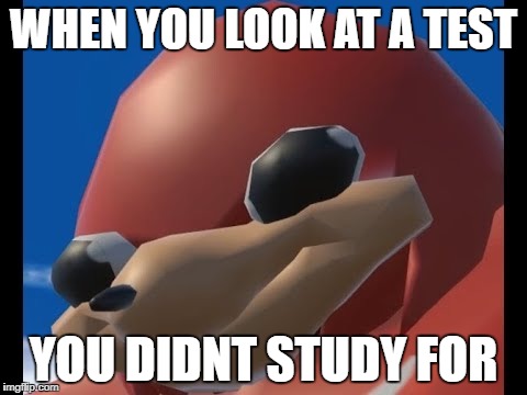 Uganda Knuckles | WHEN YOU LOOK AT A TEST; YOU DIDNT STUDY FOR | image tagged in uganda knuckles | made w/ Imgflip meme maker