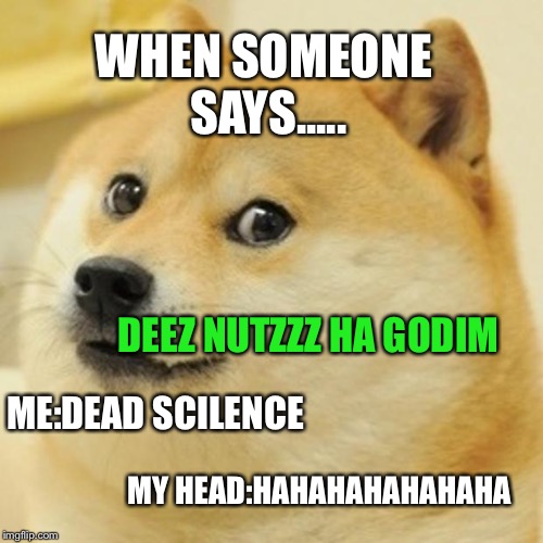 Doge Meme | WHEN SOMEONE SAYS..... DEEZ NUTZZZ HA GODIM; ME:DEAD SCILENCE; MY HEAD:HAHAHAHAHAHAHA | image tagged in memes,doge | made w/ Imgflip meme maker