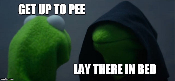 Evil Kermit Meme | GET UP TO PEE; LAY THERE IN BED | image tagged in memes,evil kermit | made w/ Imgflip meme maker