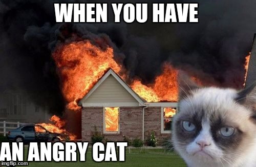 Burn Kitty Meme | WHEN YOU HAVE; AN ANGRY CAT | image tagged in memes,burn kitty,grumpy cat | made w/ Imgflip meme maker