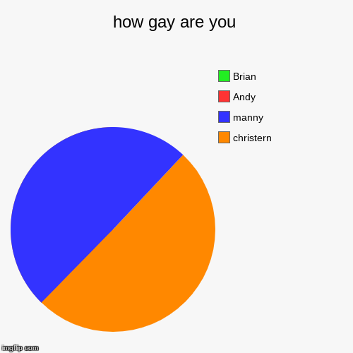 how gay are you | christern, manny, Andy, Brian | image tagged in funny,pie charts | made w/ Imgflip chart maker