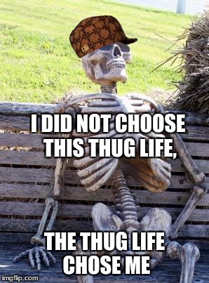 Waiting Skeleton Meme | I DID NOT CHOOSE THIS THUG LIFE, THE THUG LIFE CHOSE ME | image tagged in memes,waiting skeleton,scumbag | made w/ Imgflip meme maker