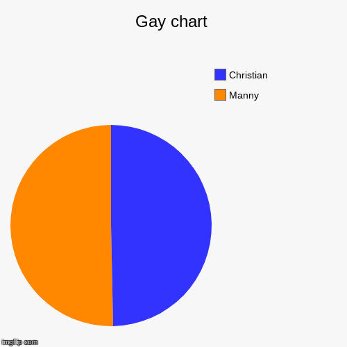 Gay chart | Manny, Christian | image tagged in funny,pie charts | made w/ Imgflip chart maker