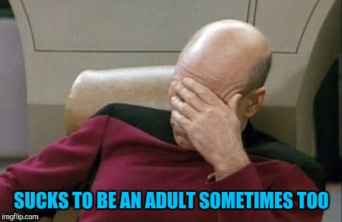 Captain Picard Facepalm Meme | SUCKS TO BE AN ADULT SOMETIMES TOO | image tagged in memes,captain picard facepalm | made w/ Imgflip meme maker