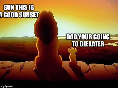 Lion King Meme | SUN THIS IS A GOOD SUNSET; DAD YOUR GOING TO DIE LATER | image tagged in memes,lion king | made w/ Imgflip meme maker