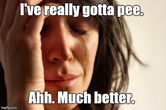 First World Problems Meme | I've really gotta pee. Ahh. Much better. | image tagged in memes,first world problems | made w/ Imgflip meme maker
