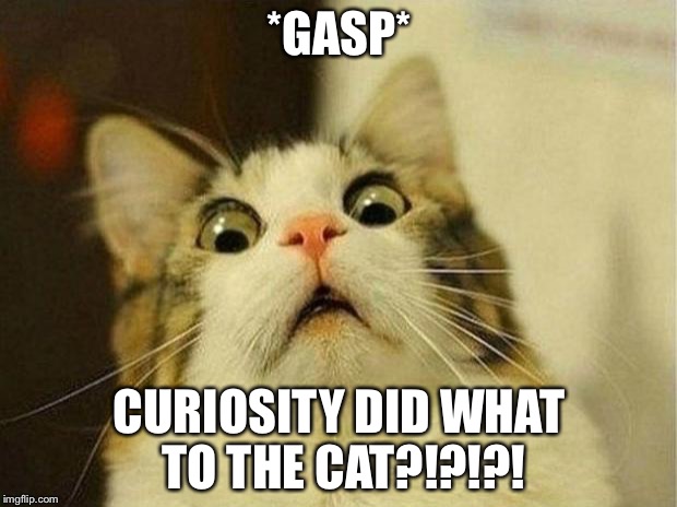 Scared Cat Meme | *GASP*; CURIOSITY DID WHAT TO THE CAT?!?!?! | image tagged in memes,scared cat | made w/ Imgflip meme maker