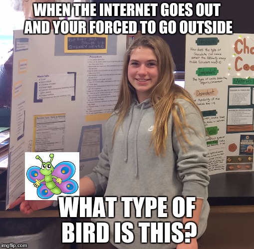 anoka memes | WHEN THE INTERNET GOES OUT AND YOUR FORCED TO GO OUTSIDE; WHAT TYPE OF BIRD IS THIS? | image tagged in minnesota | made w/ Imgflip meme maker