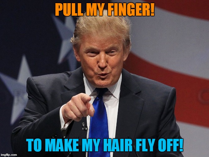 Funny Trump! | PULL MY FINGER! TO MAKE MY HAIR FLY OFF! | image tagged in donald trump,baldness | made w/ Imgflip meme maker