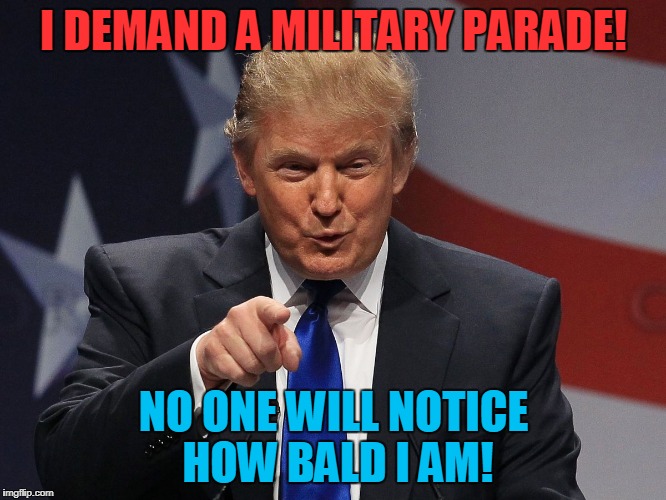 Donald trump | I DEMAND A MILITARY PARADE! NO ONE WILL NOTICE HOW BALD I AM! | image tagged in donald trump | made w/ Imgflip meme maker