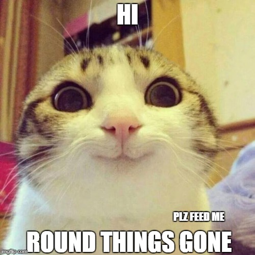 Smiling Cat | HI; ROUND THINGS GONE; PLZ FEED ME | image tagged in memes,smiling cat | made w/ Imgflip meme maker