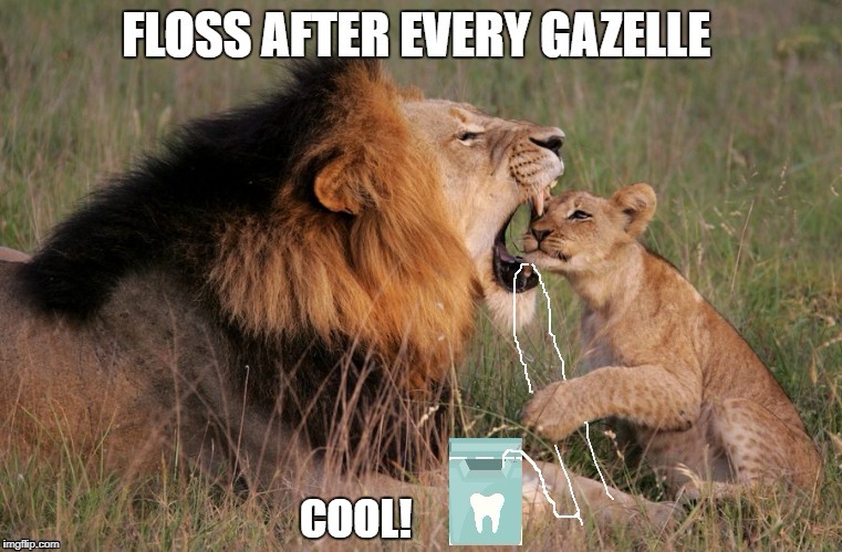 COOL! | made w/ Imgflip meme maker