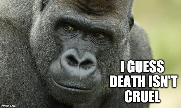 Gorilla birthday | I GUESS DEATH ISN'T CRUEL | image tagged in gorilla birthday | made w/ Imgflip meme maker
