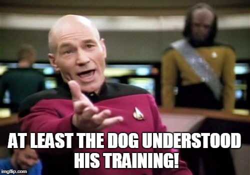Picard Wtf Meme | AT LEAST THE DOG UNDERSTOOD HIS TRAINING! | image tagged in memes,picard wtf | made w/ Imgflip meme maker