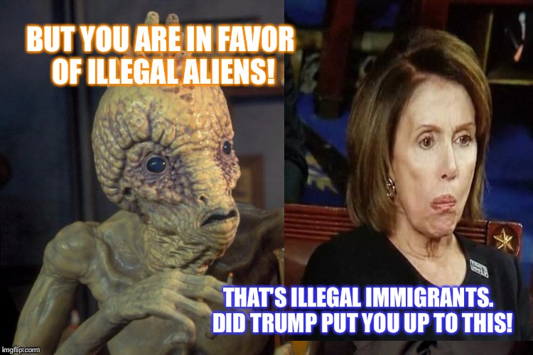 Pelosi | BUT YOU ARE IN FAVOR OF ILLEGAL ALIENS! THAT'S ILLEGAL IMMIGRANTS.  DID TRUMP PUT YOU UP TO THIS! | image tagged in pelosi | made w/ Imgflip meme maker