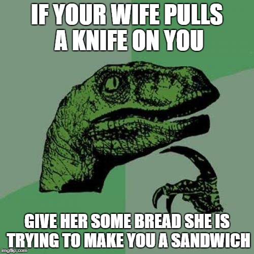 Philosoraptor | IF YOUR WIFE PULLS A KNIFE ON YOU; GIVE HER SOME BREAD SHE IS TRYING TO MAKE YOU A SANDWICH | image tagged in memes,philosoraptor | made w/ Imgflip meme maker