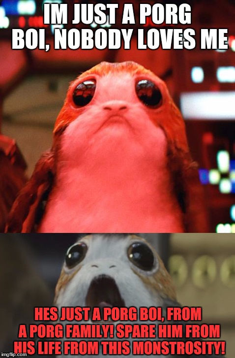 Porg Gallileo | IM JUST A PORG BOI, NOBODY LOVES ME; HES JUST A PORG BOI, FROM A PORG FAMILY! SPARE HIM FROM HIS LIFE FROM THIS MONSTROSITY! | image tagged in memes,porg,gallileo | made w/ Imgflip meme maker