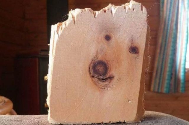 High Quality dogwood Blank Meme Template