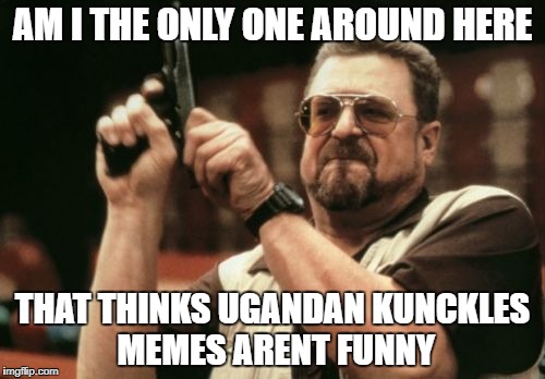 there are a few expection | AM I THE ONLY ONE AROUND HERE; THAT THINKS UGANDAN KUNCKLES MEMES ARENT FUNNY | image tagged in memes,am i the only one around here,ssby | made w/ Imgflip meme maker