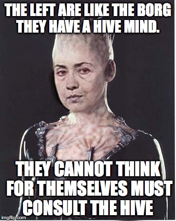 Leftist , democrats , resistors  | THE LEFT ARE LIKE THE BORG THEY HAVE A HIVE MIND. THEY CANNOT THINK FOR THEMSELVES MUST CONSULT THE HIVE | image tagged in borg queen,democrats,liberals,progressives | made w/ Imgflip meme maker
