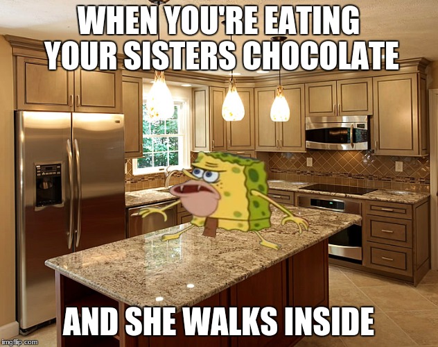kitchen | WHEN YOU'RE EATING YOUR SISTERS CHOCOLATE; AND SHE WALKS INSIDE | image tagged in kitchen | made w/ Imgflip meme maker