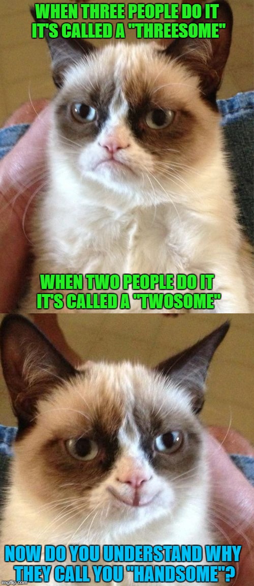 Now you know... | WHEN THREE PEOPLE DO IT IT'S CALLED A "THREESOME"; WHEN TWO PEOPLE DO IT IT'S CALLED A "TWOSOME"; NOW DO YOU UNDERSTAND WHY THEY CALL YOU "HANDSOME"? | image tagged in grumpy cat,memes,grumpy cat smiling,funny,handsome,burn | made w/ Imgflip meme maker