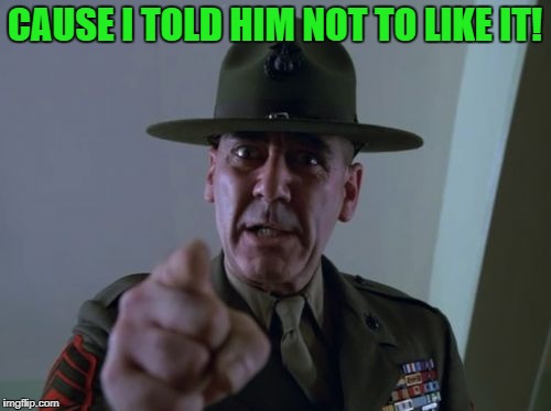 sarge  | CAUSE I TOLD HIM NOT TO LIKE IT! | image tagged in sarge | made w/ Imgflip meme maker