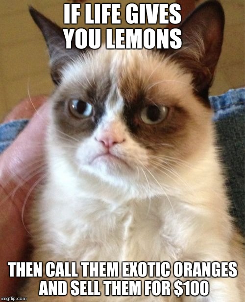 Grumpy Cat Meme | IF LIFE GIVES YOU LEMONS; THEN CALL THEM EXOTIC ORANGES AND SELL THEM FOR $100 | image tagged in memes,grumpy cat | made w/ Imgflip meme maker
