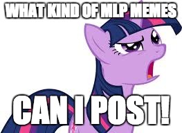 twilight confused | WHAT KIND OF MLP MEMES; CAN I POST! | image tagged in twilight confused | made w/ Imgflip meme maker