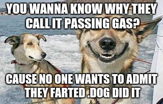 Original Stoner Dog | YOU WANNA KNOW WHY THEY CALL IT PASSING GAS? CAUSE NO ONE WANTS TO ADMIT THEY FARTED .DOG DID IT | image tagged in memes,original stoner dog | made w/ Imgflip meme maker
