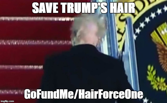 Hair Force One | SAVE TRUMP'S HAIR; GoFundMe/HairForceOne | image tagged in save trump's hair,hair force one,donald trump,bald trump,bald | made w/ Imgflip meme maker