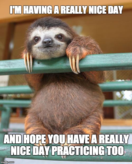 Birthday Sloth |  I'M HAVING A REALLY NICE DAY; AND HOPE YOU HAVE A REALLY NICE DAY PRACTICING TOO | image tagged in birthday sloth | made w/ Imgflip meme maker