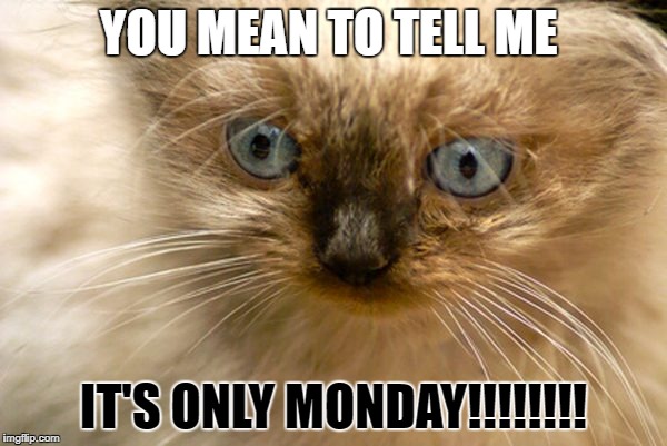 monday | YOU MEAN TO TELL ME; IT'S ONLY MONDAY!!!!!!!! | image tagged in real life | made w/ Imgflip meme maker