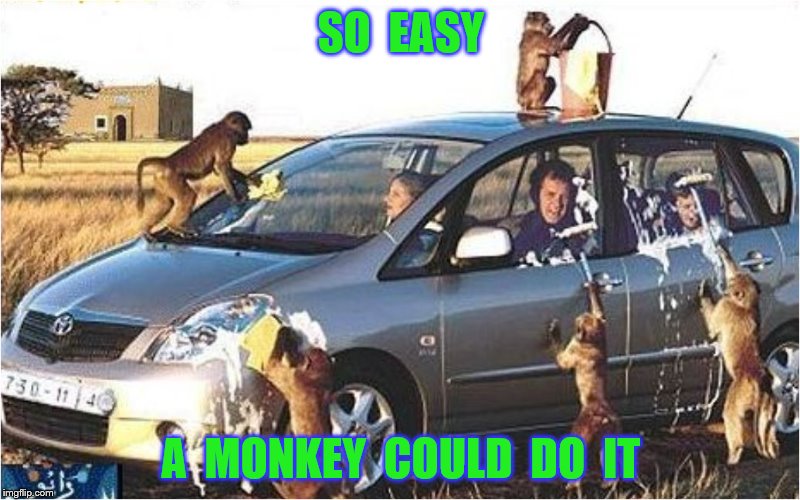 SO  EASY A  MONKEY  COULD  DO  IT | made w/ Imgflip meme maker