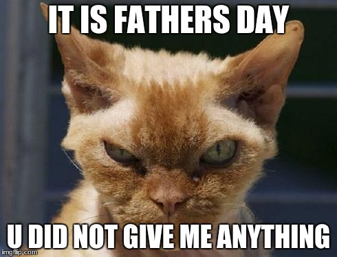 Mad Cat | IT IS FATHERS DAY; U DID NOT GIVE ME ANYTHING | image tagged in mad cat | made w/ Imgflip meme maker