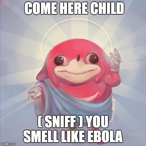 Do you know da wae | COME HERE CHILD; ( SNIFF ) YOU SMELL LIKE EBOLA | image tagged in do you know da wae | made w/ Imgflip meme maker