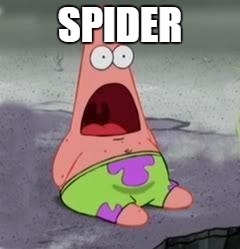 SPIDER | made w/ Imgflip meme maker