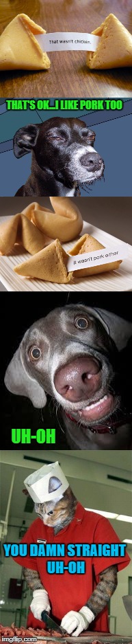 Like you've never wondered when you eat Chinese! | THAT'S OK...I LIKE PORK TOO; UH-OH; YOU DAMN STRAIGHT UH-OH | image tagged in fortune cookies,memes,that's not chicken,funny,that's not pork,mystery meat | made w/ Imgflip meme maker