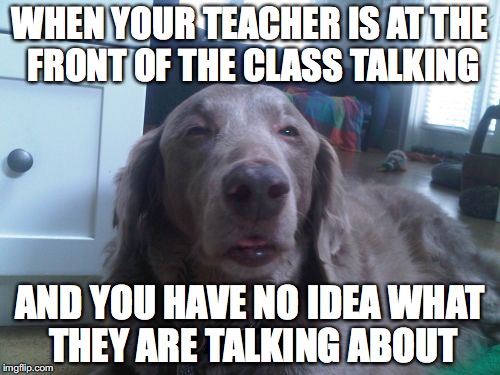 High Dog Meme | WHEN YOUR TEACHER IS AT THE FRONT OF THE CLASS TALKING; AND YOU HAVE NO IDEA WHAT THEY ARE TALKING ABOUT | image tagged in memes,high dog | made w/ Imgflip meme maker